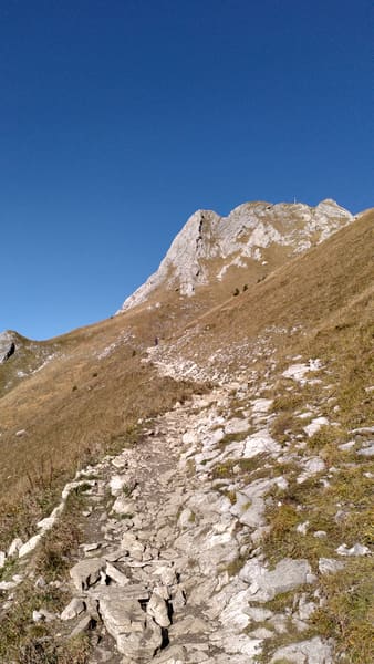 Wanderung im Tannheimer Tal: Grän – Bad Kissinger Hütte – Aggenstein – Gräner Höhenweg – Füssener Joch
