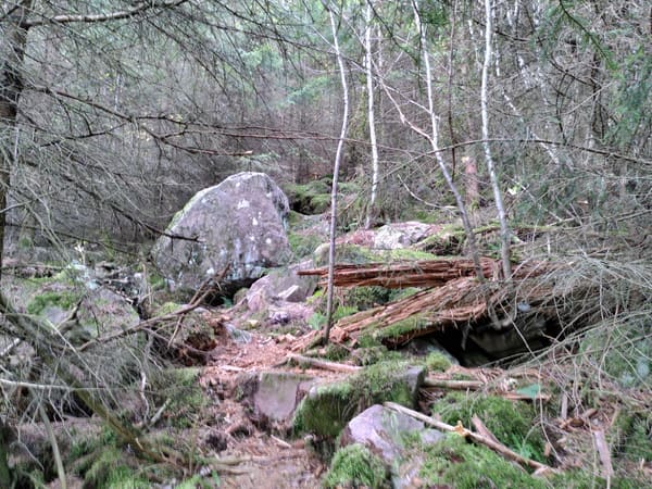 Albtal Abenteuer Track, Etappe 1: Rundwanderung von Bad Herrenalb