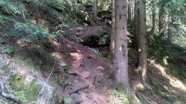Albtal Abenteuer Track, Etappe 1: Rundwanderung von Bad Herrenalb