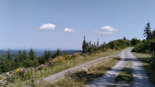 Albtal Abenteuer Track, Etappe 1: Rundwanderung von Bad Herrenalb