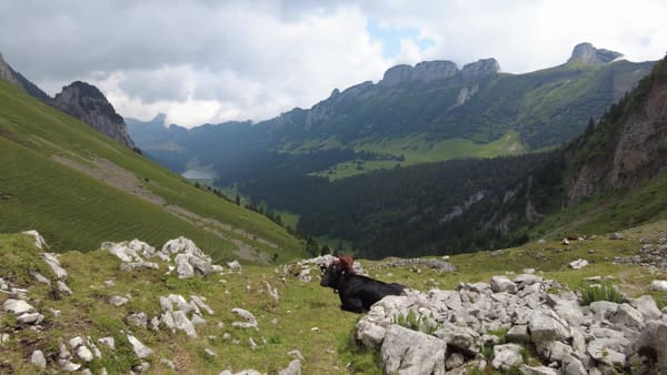 Große Alpsteinrunde in 2 Tagen über den Säntis mit Lisengrat und Rotsteinpass