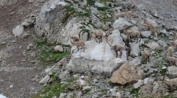 Große Alpsteinrunde in 2 Tagen über den Säntis mit Lisengrat und Rotsteinpass