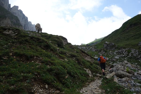 Große Alpsteinrunde in 2 Tagen über den Säntis mit Lisengrat und Rotsteinpass