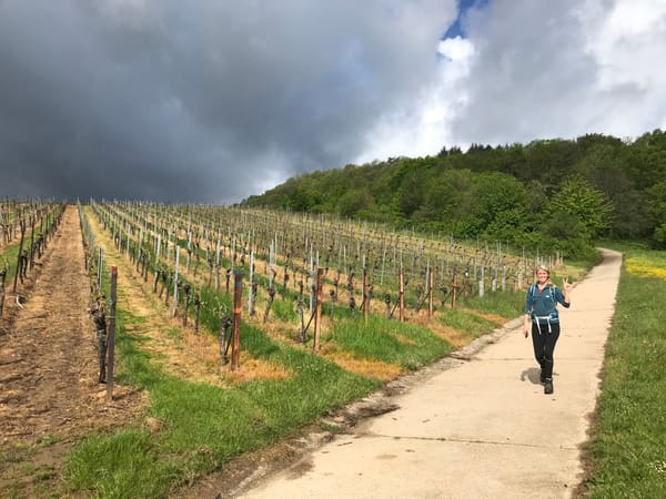 Rundwanderung im Trifels-Land bei Annweiler: Neukastell, Madenburg, Slevogtfelsen und Hohenberg