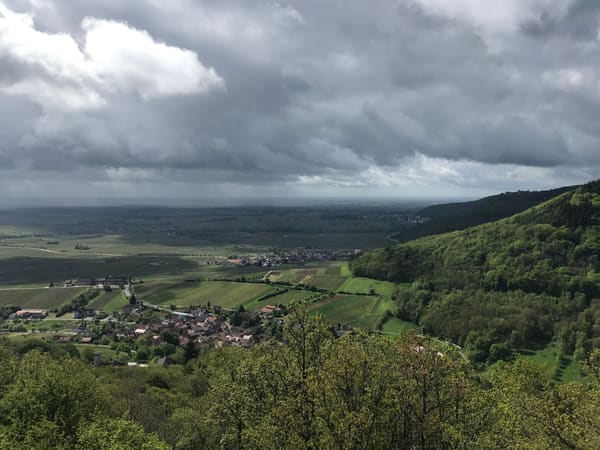 Rundwanderung im Trifels-Land bei Annweiler: Neukastell, Madenburg, Slevogtfelsen und Hohenberg