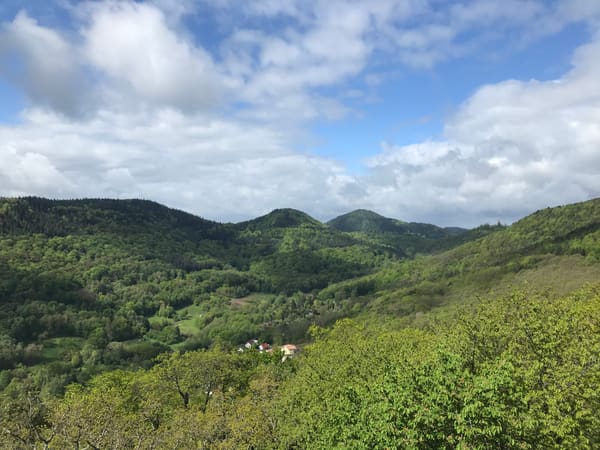Rundwanderung im Trifels-Land bei Annweiler: Neukastell, Madenburg, Slevogtfelsen und Hohenberg