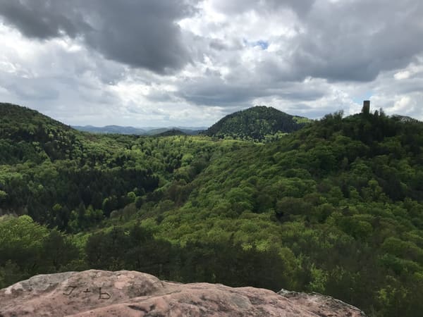 Rundwanderung im Trifels-Land bei Annweiler: Neukastell, Madenburg, Slevogtfelsen und Hohenberg
