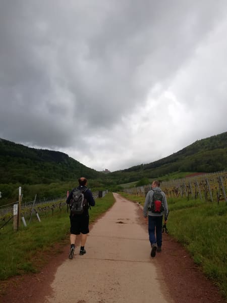 Rundwanderung im Trifels-Land bei Annweiler: Neukastell, Madenburg, Slevogtfelsen und Hohenberg