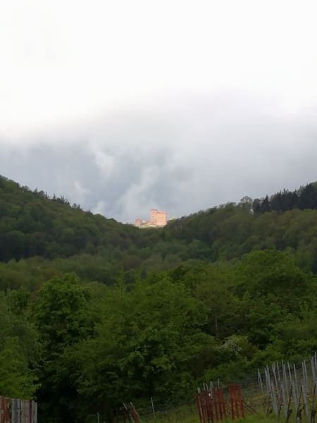 Rundwanderung im Trifels-Land bei Annweiler: Neukastell, Madenburg, Slevogtfelsen und Hohenberg