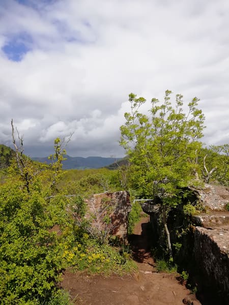 Rundwanderung im Trifels-Land bei Annweiler: Neukastell, Madenburg, Slevogtfelsen und Hohenberg