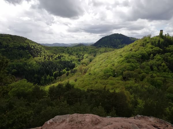 Rundwanderung im Trifels-Land bei Annweiler: Neukastell, Madenburg, Slevogtfelsen und Hohenberg