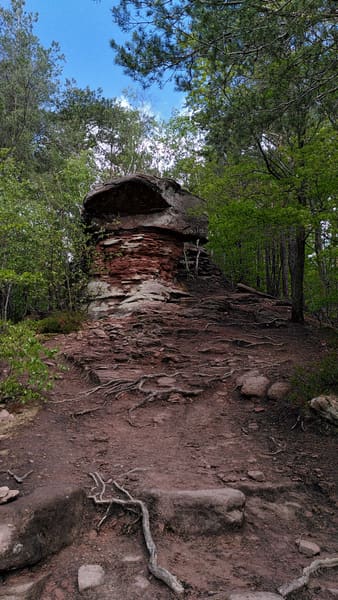 Rundwanderung im Trifels-Land bei Annweiler: Neukastell, Madenburg, Slevogtfelsen und Hohenberg