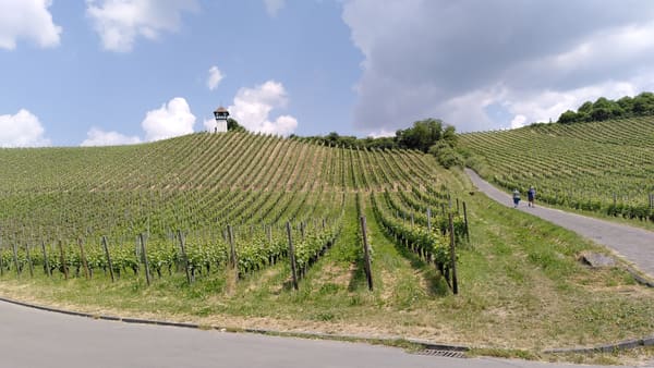 Um den See auf dem Bodenseeradweg inkl. Bergetappe und Übernachtung auf dem Pfänder
