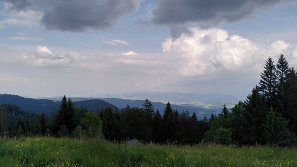 Um den See auf dem Bodenseeradweg inkl. Bergetappe und Übernachtung auf dem Pfänder