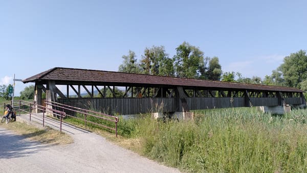 Um den See auf dem Bodenseeradweg inkl. Bergetappe und Übernachtung auf dem Pfänder