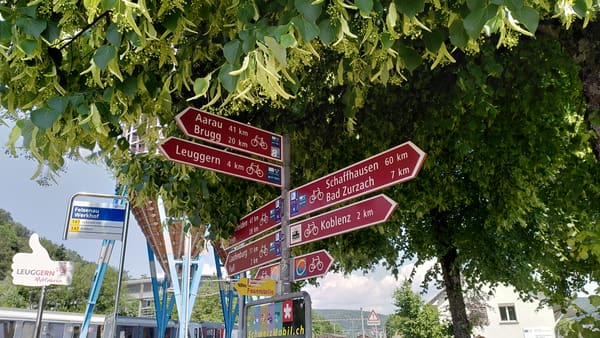 Um den See auf dem Bodenseeradweg inkl. Bergetappe und Übernachtung auf dem Pfänder