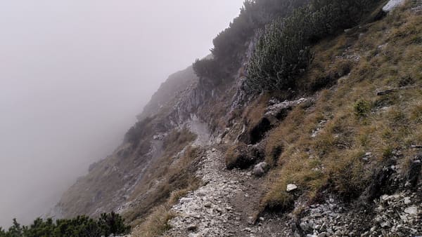 Wanderung im Tannheimer Tal: Schattwald – Bschießer – Ponten – Zirleseck – Rohnenspitze