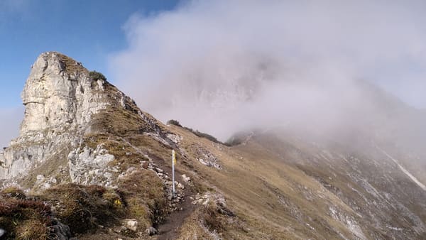Wanderung im Tannheimer Tal: Schattwald – Bschießer – Ponten – Zirleseck – Rohnenspitze