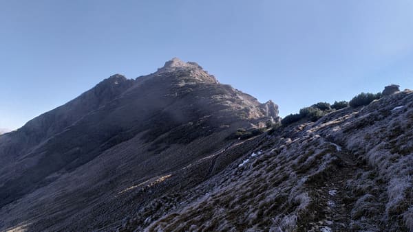Wanderung im Tannheimer Tal: Schattwald – Bschießer – Ponten – Zirleseck – Rohnenspitze