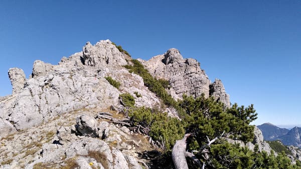 Wanderung im Tannheimer Tal: Schattwald – Bschießer – Ponten – Zirleseck – Rohnenspitze