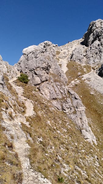 Wanderung im Tannheimer Tal: Schattwald – Bschießer – Ponten – Zirleseck – Rohnenspitze