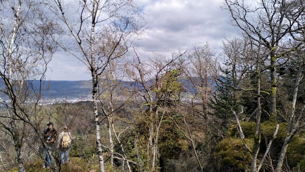 Wanderung auf dem Ebersteinburg-Rundweg bei Baden-Baden im Nordschwarzwald