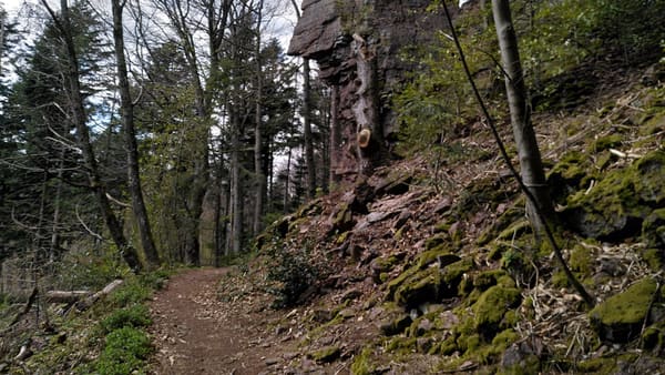 Wanderung auf dem Ebersteinburg-Rundweg bei Baden-Baden im Nordschwarzwald