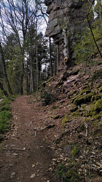 Wanderung auf dem Ebersteinburg-Rundweg bei Baden-Baden im Nordschwarzwald
