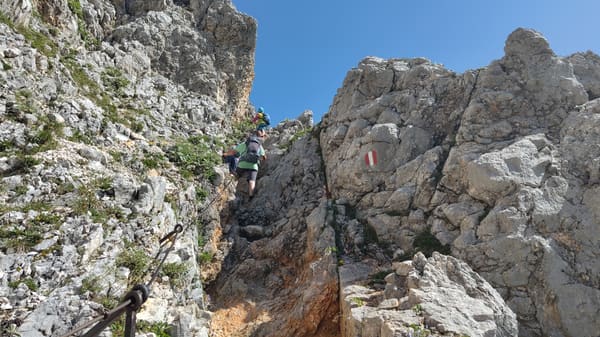 Wanderung zum Zugspitzblick am Gatterl und der urigen Einkehr Steinernes Hüttl bei Ehrwald