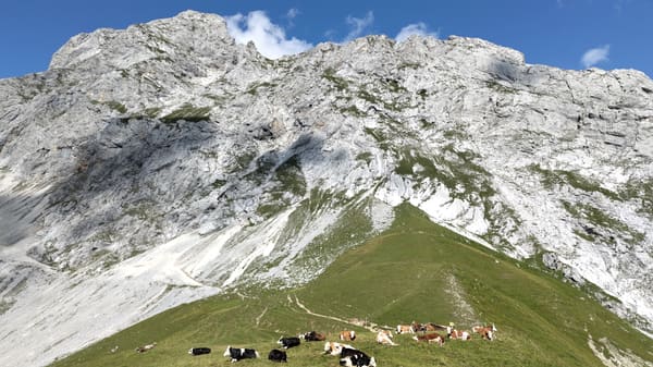 Wanderung zum Zugspitzblick am Gatterl und der urigen Einkehr Steinernes Hüttl bei Ehrwald