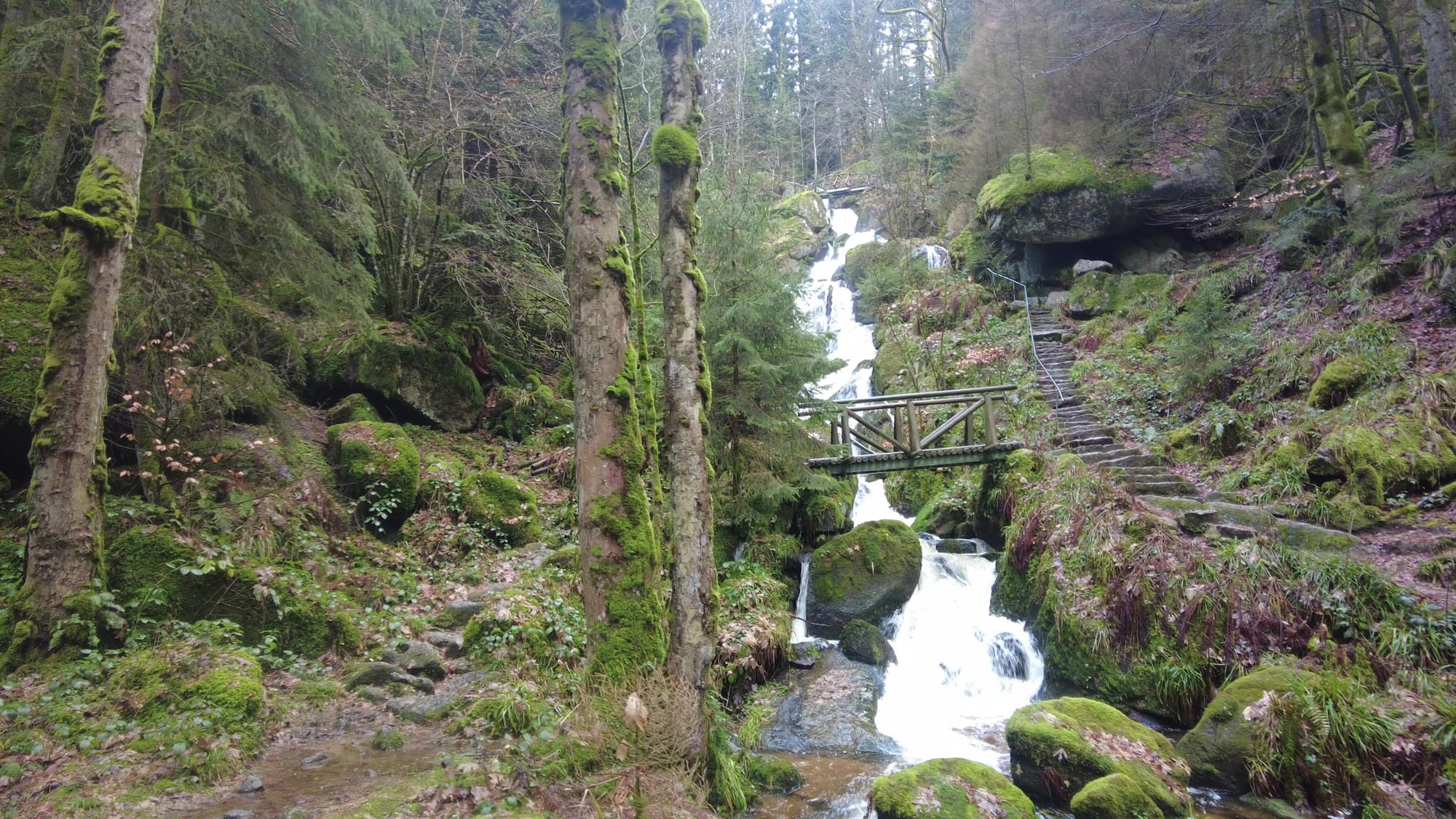 Wanderung im Nordschwarzwald zu den Gertelbachfällen und den Panoramaspots Wiedenfelsen + Hertahütte