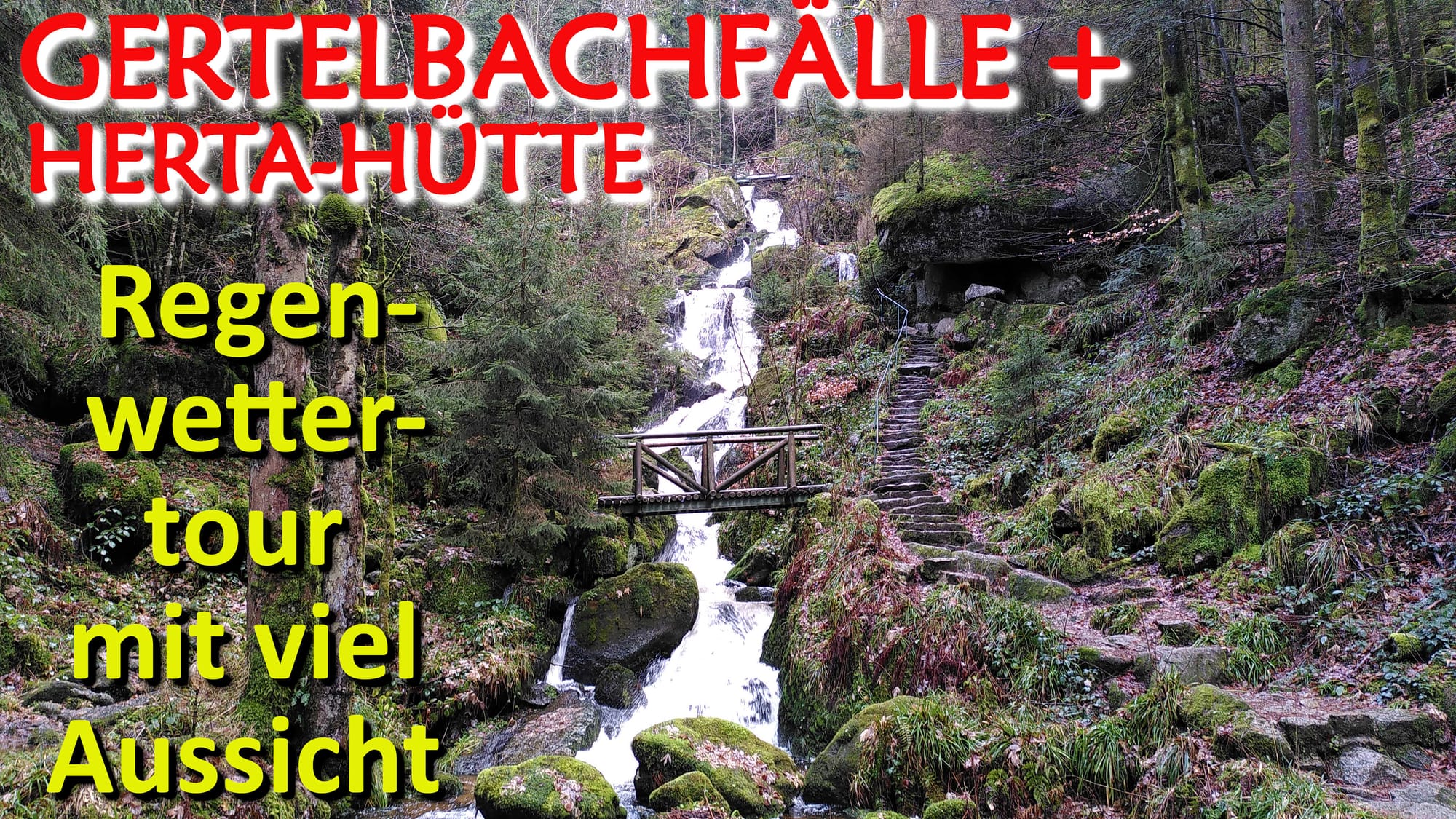 Wanderung im Nordschwarzwald zu den Gertelbachfällen und den Panoramaspots Wiedenfelsen + Hertahütte