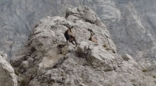 Grignetta via Direttissima – Mini-Dolomiten am Comer See bei Lecco