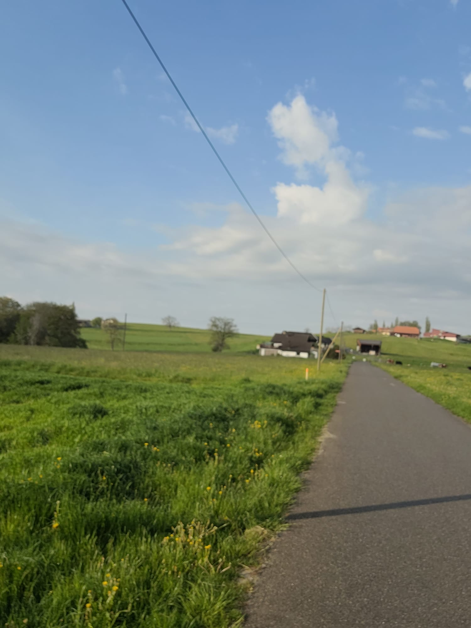3-Tages-Radtour durch das Gruyère, die Freiburger Alpen und das Berner Oberland