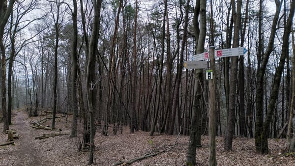 Pfälzer Wald Wanderung Höllenberg-Tour Spirkelbach – Felsen, Steine, Aussicht