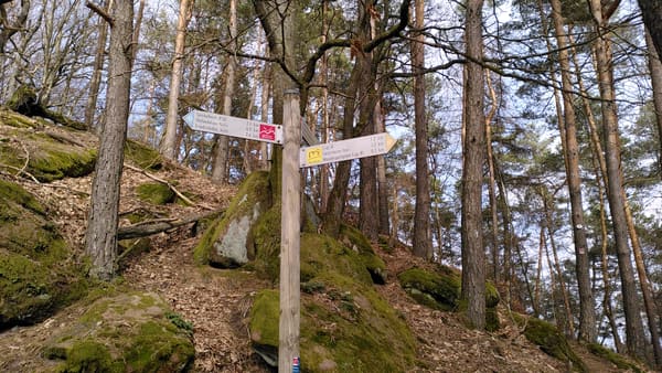 Pfälzer Wald Wanderung Höllenberg-Tour Spirkelbach – Felsen, Steine, Aussicht