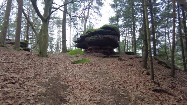 Pfälzer Wald Wanderung Höllenberg-Tour Spirkelbach – Felsen, Steine, Aussicht