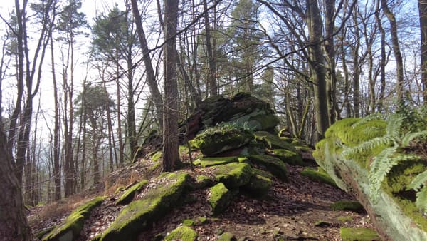 Pfälzer Wald Wanderung Höllenberg-Tour Spirkelbach – Felsen, Steine, Aussicht