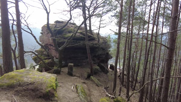 Pfälzer Wald Wanderung Höllenberg-Tour Spirkelbach – Felsen, Steine, Aussicht