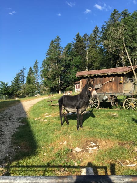 Jura-Route / Jura-Radweg: Basel – Nyon – Genf