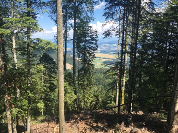Jura-Route / Jura-Radweg: Basel – Nyon – Genf