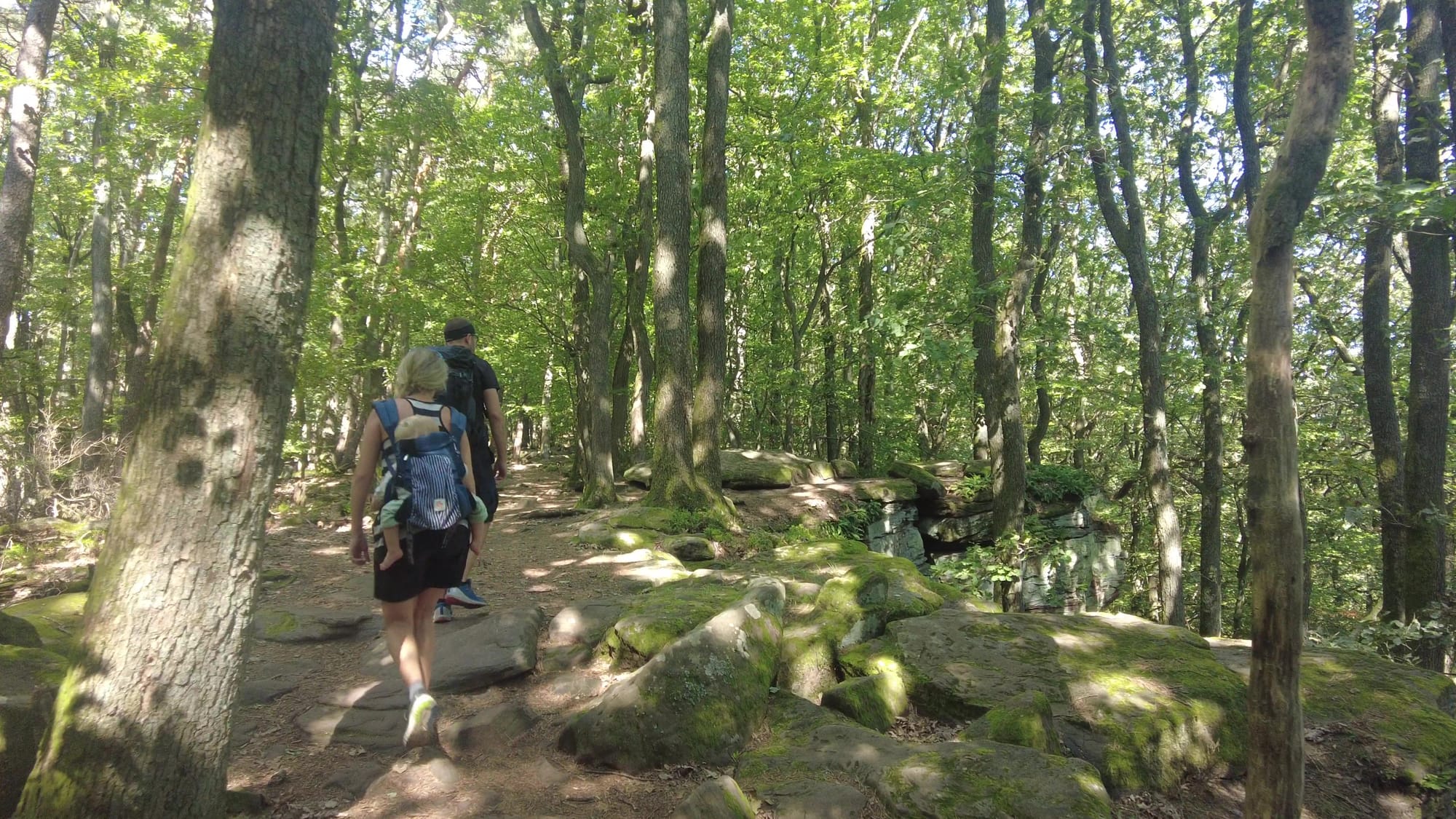 Pfälzer Wald Wanderung von der Kalmit nach Neustadt mit Felsenmeer und 3× Einkehr: Totenkopfhütte, Kalmithaus und Hohe-Loog-Haus