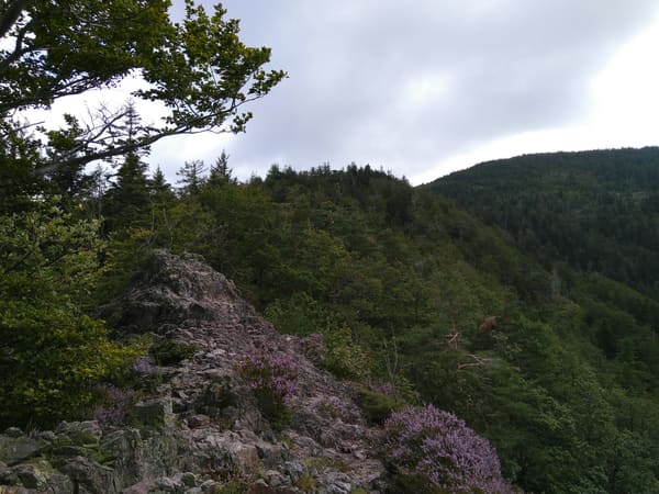Wanderung im Nordschwarzwald: Ottenhöfen – Karlsruher Grat – Melkereikopf – Allerheiligen-Wasserfälle