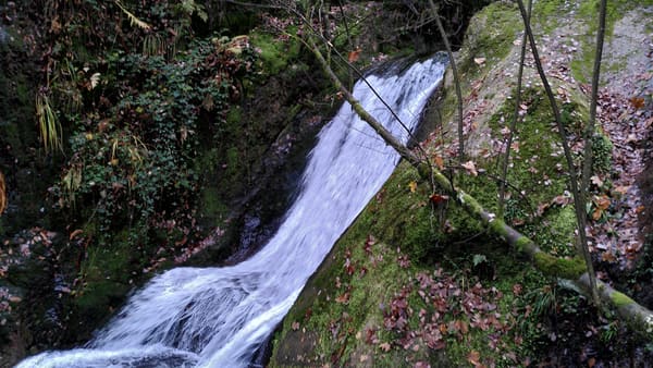 Wanderung im Nordschwarzwald: Ottenhöfen – Karlsruher Grat – Melkereikopf – Allerheiligen-Wasserfälle