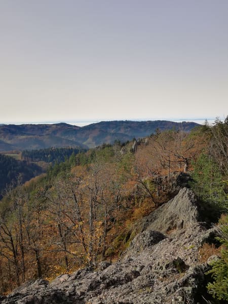 Wanderung im Nordschwarzwald: Ottenhöfen – Karlsruher Grat – Melkereikopf – Allerheiligen-Wasserfälle
