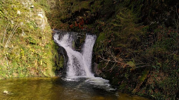 Wanderung im Nordschwarzwald: Ottenhöfen – Karlsruher Grat – Melkereikopf – Allerheiligen-Wasserfälle