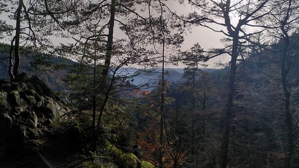 Wanderung im Nordschwarzwald: Ottenhöfen – Karlsruher Grat – Melkereikopf – Allerheiligen-Wasserfälle