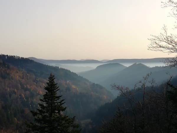 Wanderung im Nordschwarzwald: Ottenhöfen – Karlsruher Grat – Melkereikopf – Allerheiligen-Wasserfälle