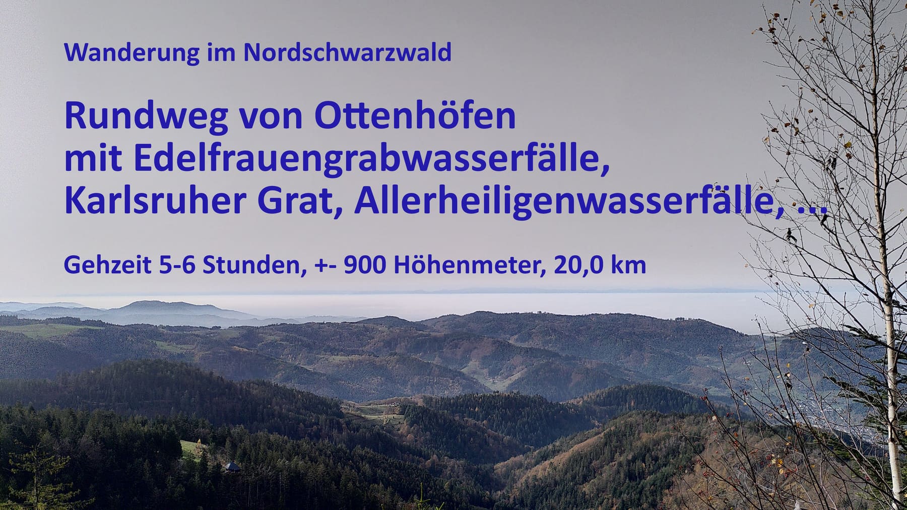 Wanderung im Nordschwarzwald: Ottenhöfen – Karlsruher Grat – Melkereikopf – Allerheiligen-Wasserfälle