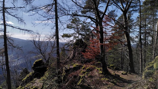 Schwarzwald-Wanderung im Murgtal: Elsbethütte, Dachsstein und Lautenfelsen bei Gernsbach